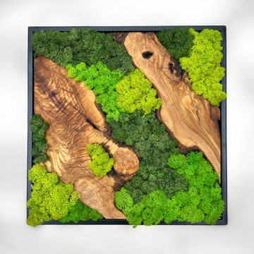 Moss and Olive Wood Home Decor With Metal Frame