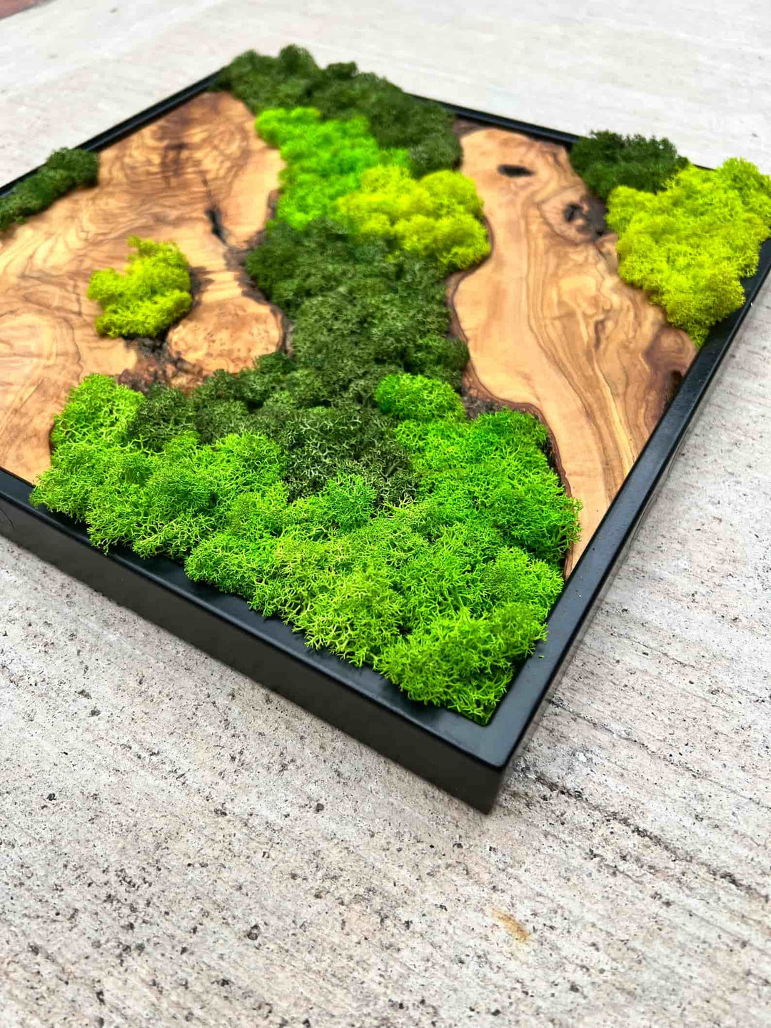 Moss and Olive Wood Home Decor With Metal Frame