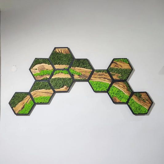 Preserved Moss Wall Art: Hexagon Design in Wooden Black Frame with Olive Wood Accents
