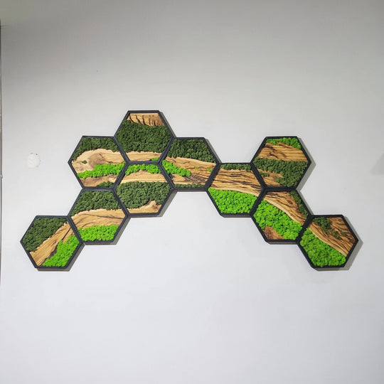 Hexagon Moss and Olive Wood Wall Art in Wooden Black Frame