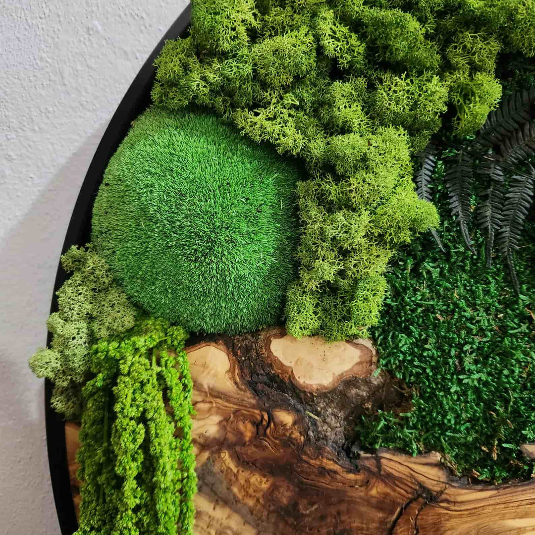 Moss and Olive Wood Wall Art in Metal Frame