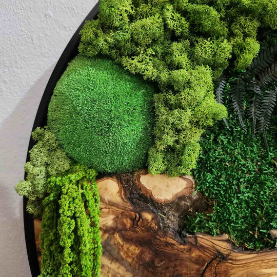 Moss and Olive Wood Wall Art in Metal Frame