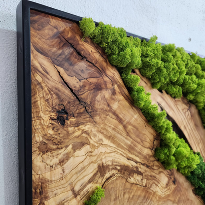 Olive-Wood-Moss-Wall-art