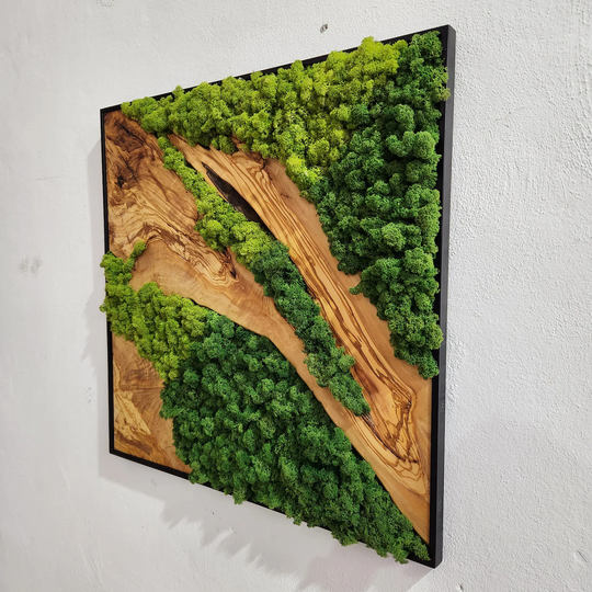 Moss and Olive Wood Home Decor With Metal Frame