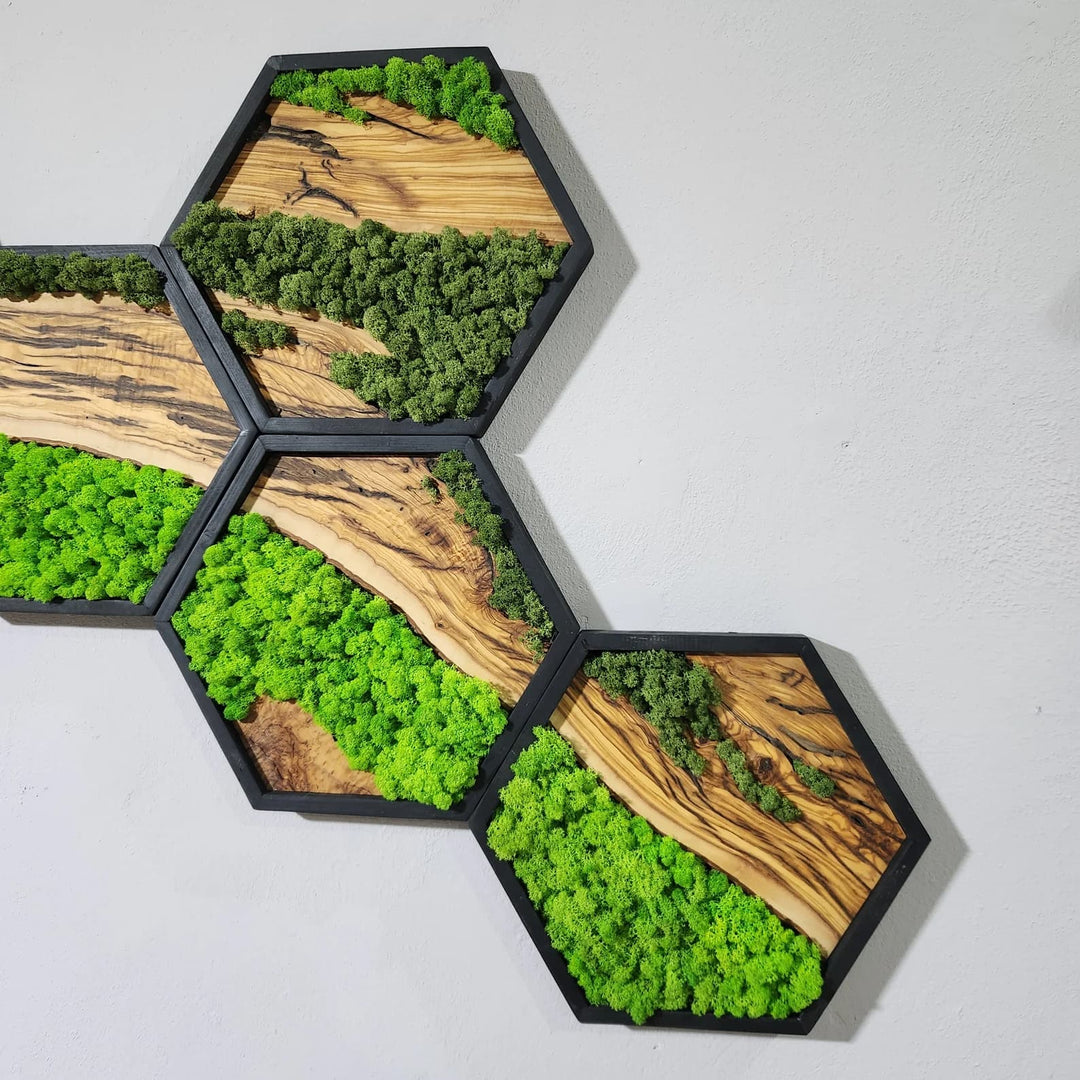 Hexagon Moss and Olive Wood Wall Art in Wooden Black Frame