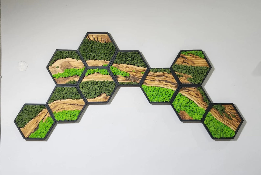 Hexagon Moss and Olive Wood Wall Art in Wooden Black Frame