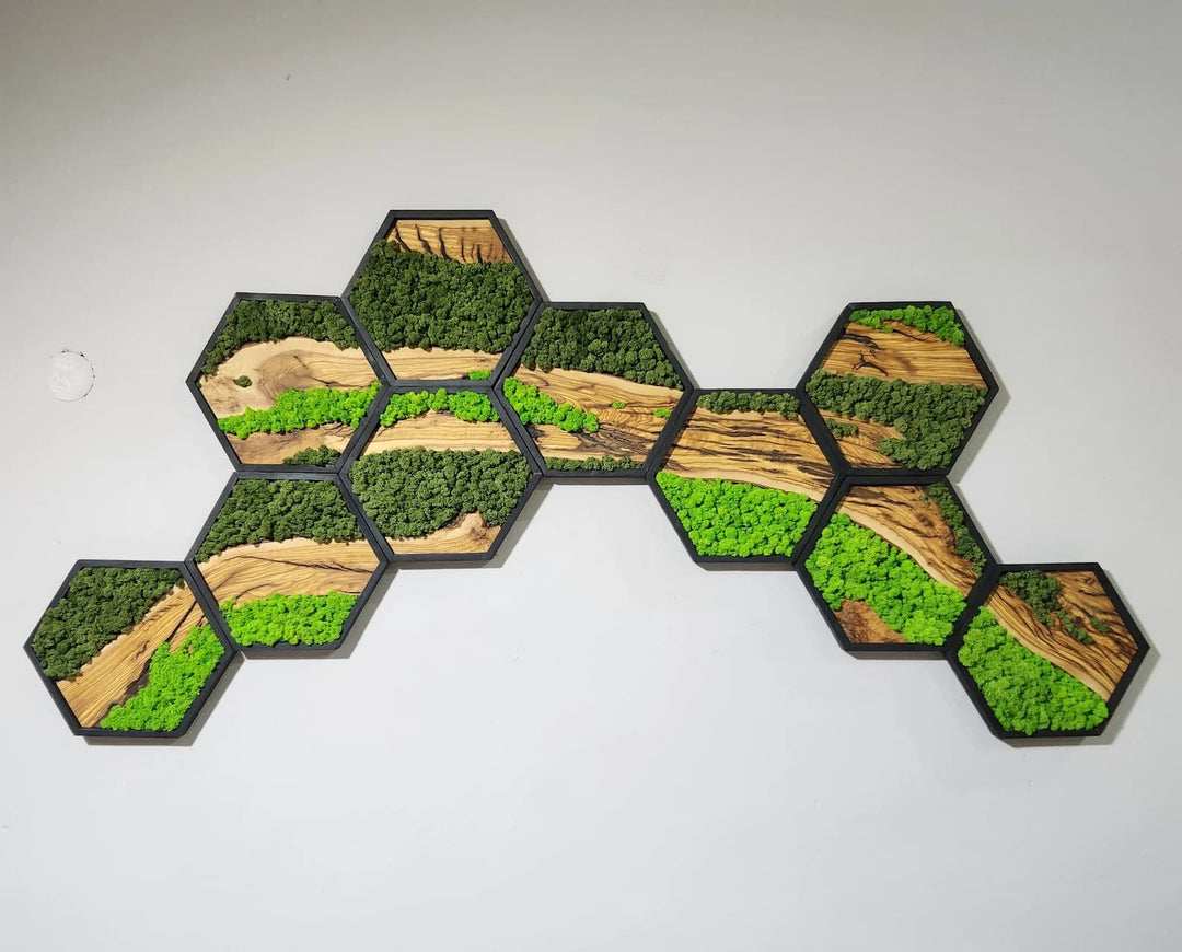 Hexagon Moss and Olive Wood Wall Art in Wooden Black Frame