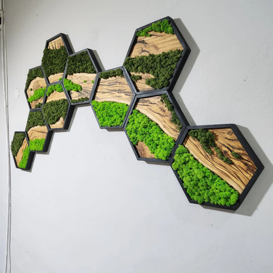 Hexagon Moss and Olive Wood Wall Art in Wooden Black Frame