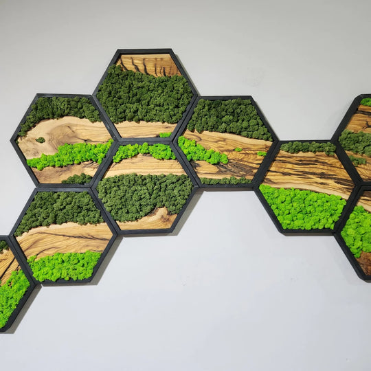 Hexagon Moss and Olive Wood Wall Art in Wooden Black Frame