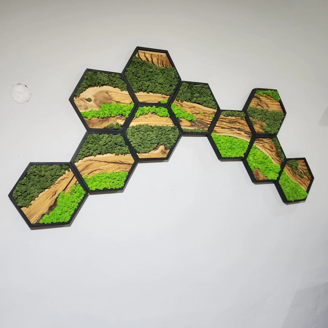 Hexagon Moss and Olive Wood Wall Art in Wooden Black Frame