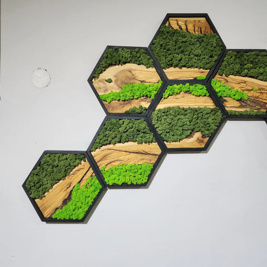 Hexagon Moss and Olive Wood Wall Art in Wooden Black Frame