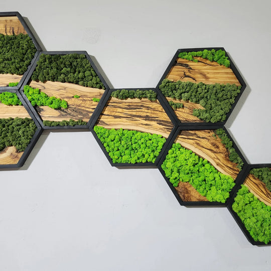 Hexagon Moss and Olive Wood Wall Art in Wooden Black Frame