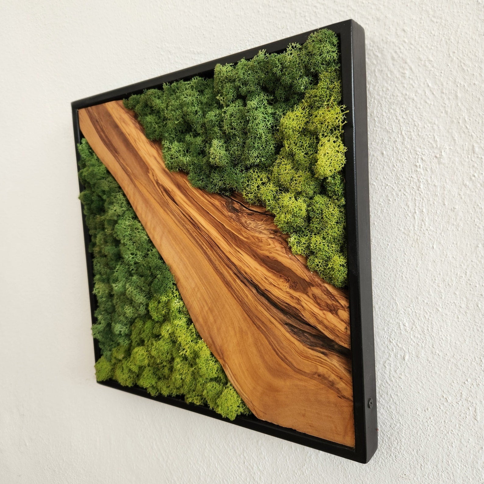 Moss and olive wood wall decor with metal frame